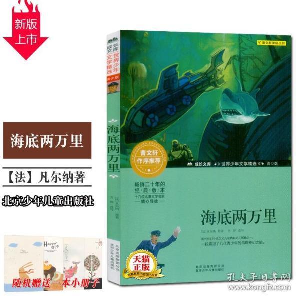 美妙夏季拼图